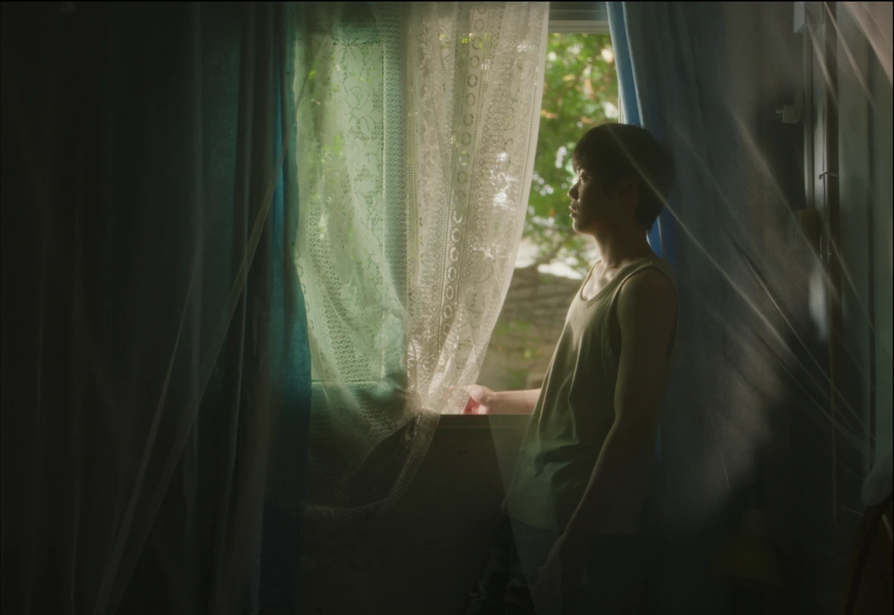 A young person standing beside a sunlit window behind sheer curtains.